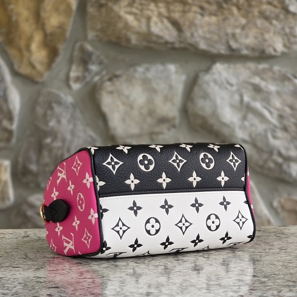 Louis Vuitton Speedy Bandouliere 20 Crossbody - Picture 5 of 12